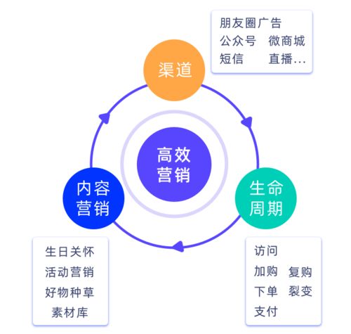 破解私域增長難題，微動天下企量SCRM如何以精細化運營賦能企業